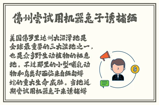 亚洲午夜精品高潮影院