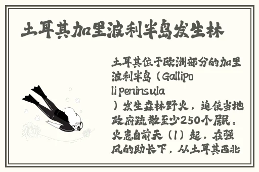 小yoyo萝li 交精品视频